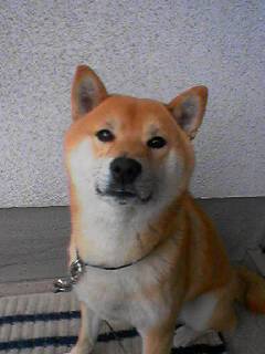 e0079594_1329998.jpg