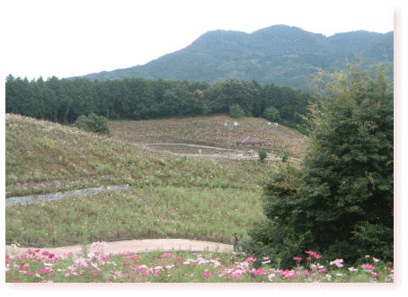 c0017311_1537491.jpg