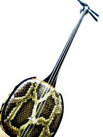 e0030917_1640489.jpg