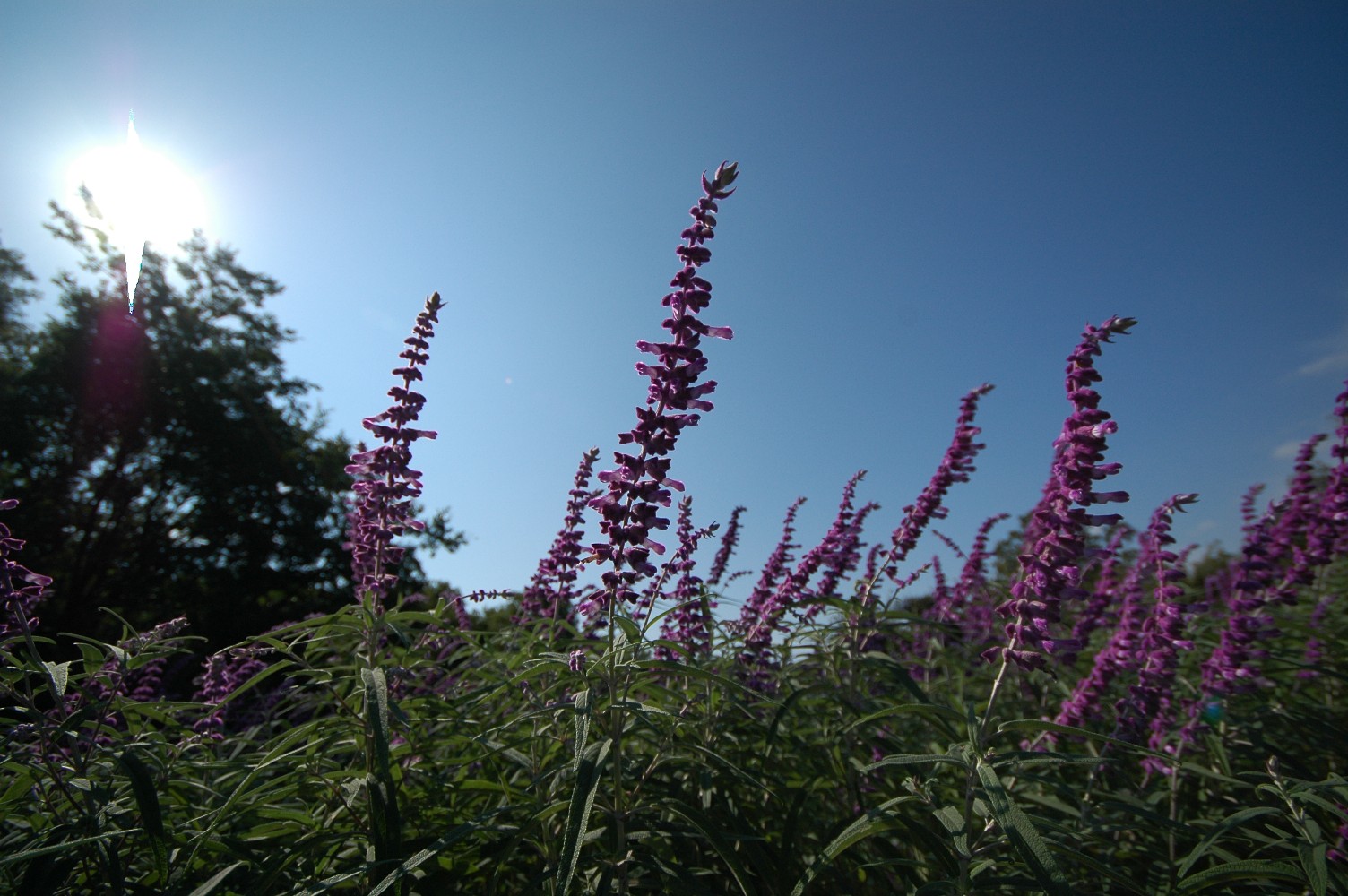 b0069128_1692351.jpg