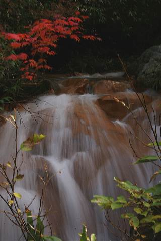 滝のある風景      ----この記事より↓は、「小さな手紙2」より転写---_c0023929_0305321.jpg