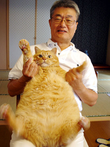 体重13 栗太郎の2倍以上だね 栗太郎本舗 猫 体重13 栗太郎の2倍以上だね 栗太郎本舗 猫
