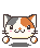 容量が無くなってしまったので・・_c0066443_20505724.gif
