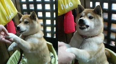 今にきっと。。。_c0049950_1364852.jpg