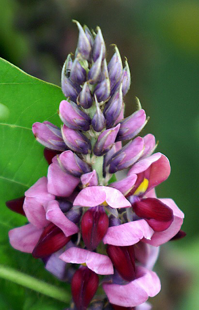 e0039703_23304629.jpg