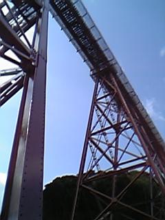 e0033314_3131672.jpg