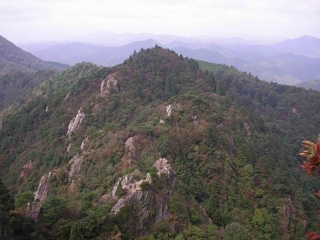 c0029332_21552777.jpg