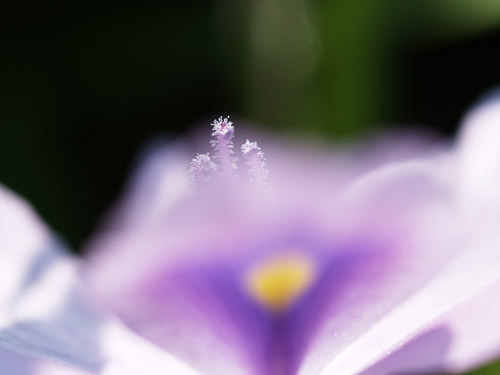 a0003746_17125175.jpg