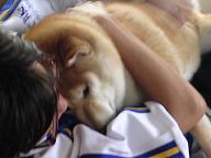 2日連続室内犬_c0049950_2113852.jpg