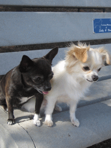 b0035453_13474725.gif