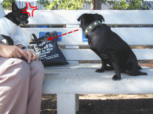 b0035453_13535279.gif