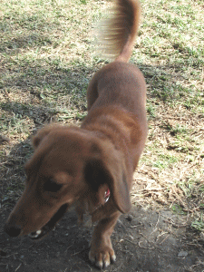 b0035453_1356787.gif