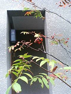 「なぜ生きる」 高森顕徹 監修 その1_d0039059_1037919.jpg