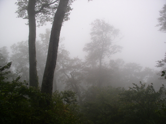 d0063060_20102514.jpg