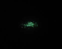 b0062363_8441567.jpg