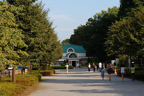 c0009981_73235.jpg