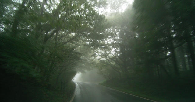 雨ノナカ道志道、富士山ヘ_b0046290_16394756.jpg