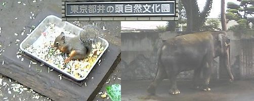 井の頭自然文化園、初入園_c0039291_20573223.jpg