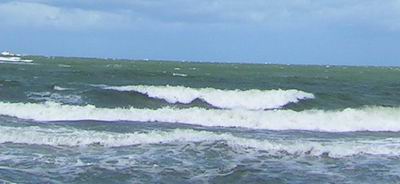 e0087793_28343.jpg