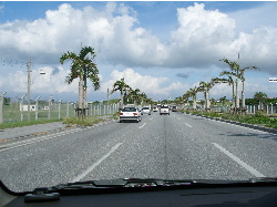 c0036203_1853282.jpg