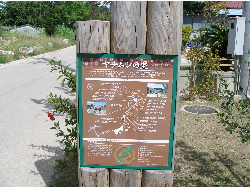 c0036203_19115263.jpg