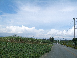 c0036203_1962898.jpg