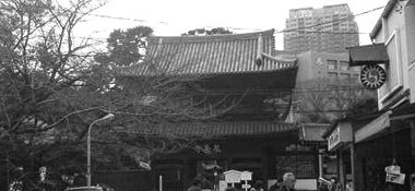 d0018611_2315518.jpg