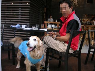 d0010012_10313468.jpg