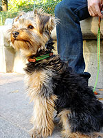 c0024345_62595.jpg