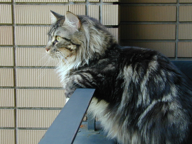 e0005545_131491.jpg