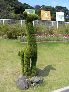 c0069048_6294888.jpg