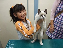 またまた・・・里親募集します!!_b0059154_2338103.jpg