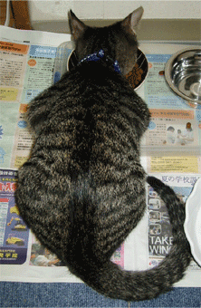 a0008459_2575664.gif