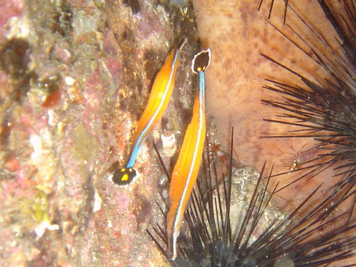 c0063673_179717.jpg