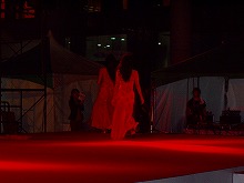 c0056437_048027.jpg