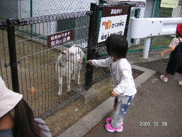 d0012153_70191.jpg