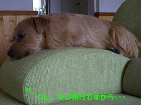 How to sit a sofa._d0043478_23185516.jpg