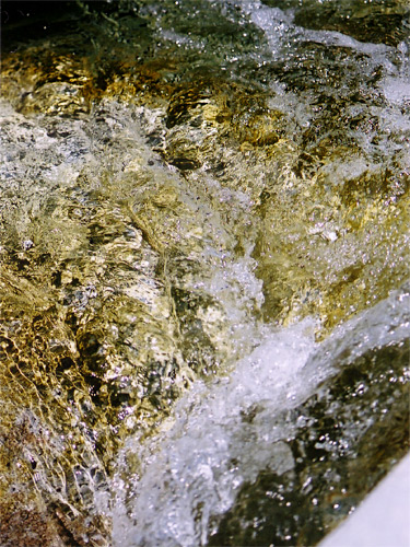 b0045387_1525254.jpg