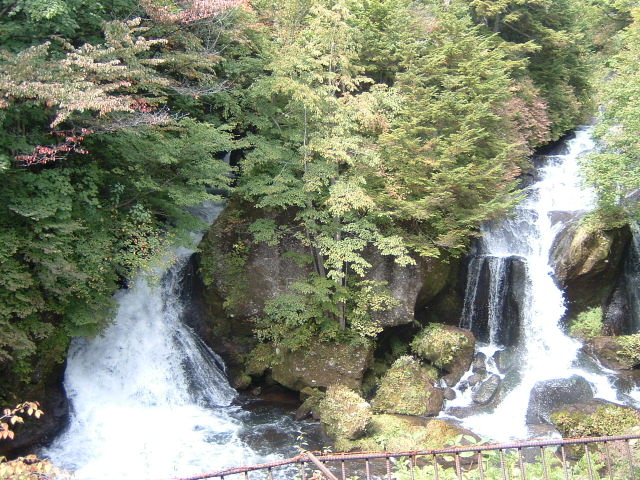 d0063290_240291.jpg