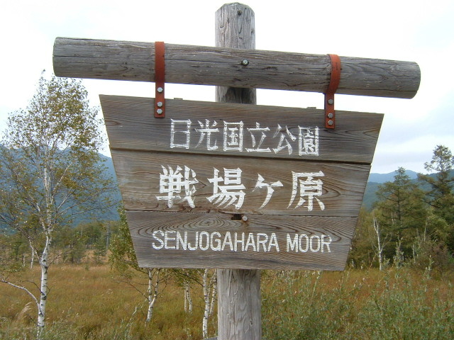 d0063290_2512033.jpg