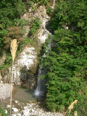c0005619_02349.jpg