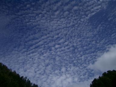 c0005619_04221.jpg
