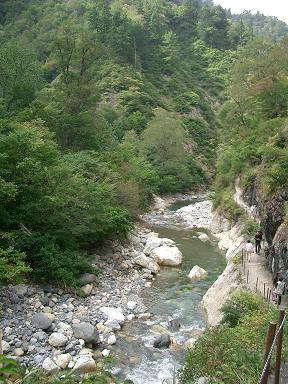c0005619_0997.jpg