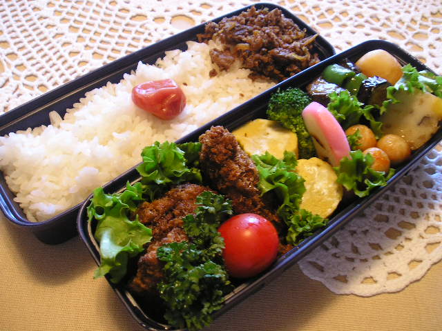 ひれかつ弁当_c0047828_843190.jpg