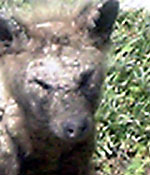 a0040929_1953204.jpg