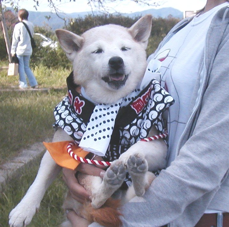 e0060157_05334.jpg