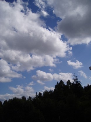 b0061261_205070.jpg