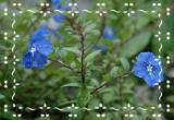 d0038372_6563013.jpg