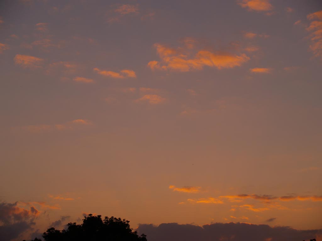 e0071178_19363323.jpg