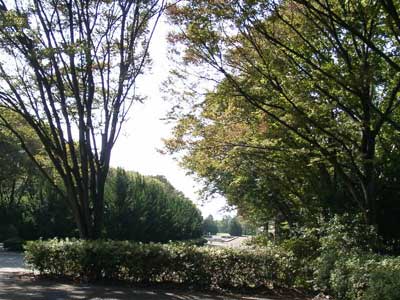 c0047589_19383188.jpg